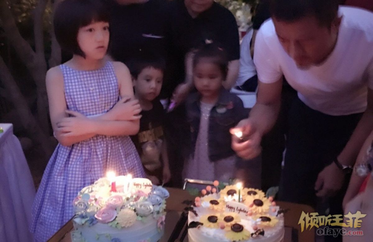 李嫣10岁生日李亚鹏开派对 王菲等人现身