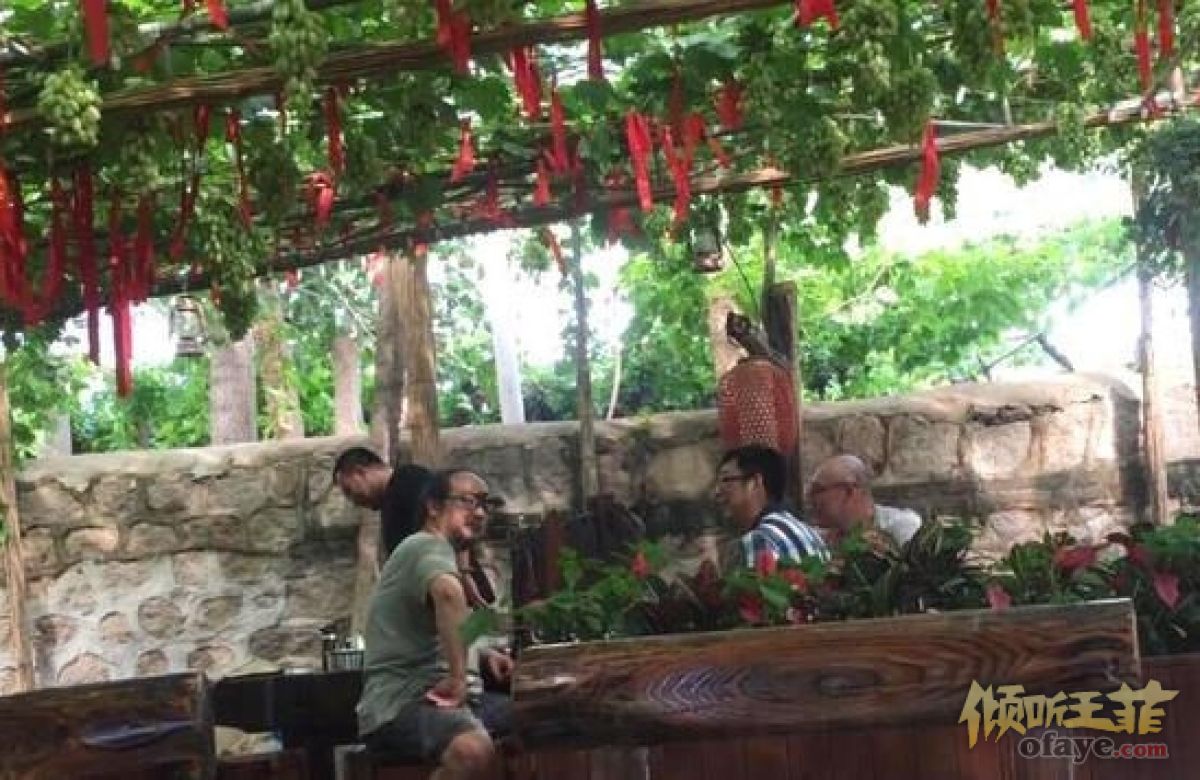 组图：窦唯坐葡萄架下喝茶聊天昔日清秀帅哥变胡茬大叔