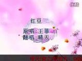 王菲——红豆