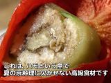 吃在关西：日本料理的最高峰 京都料理