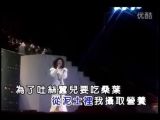 邓丽君 原乡人  甜蜜蜜 80经典金曲