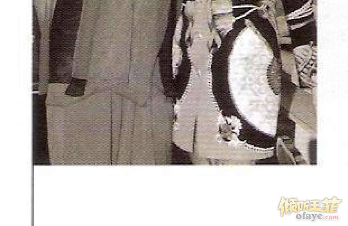 王馨平叶倩文王菲吴君如林忆莲.