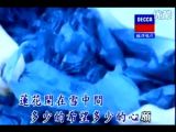 王菲_雪中莲