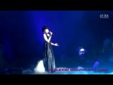 王菲-过眼云烟at20111029新加坡巡唱