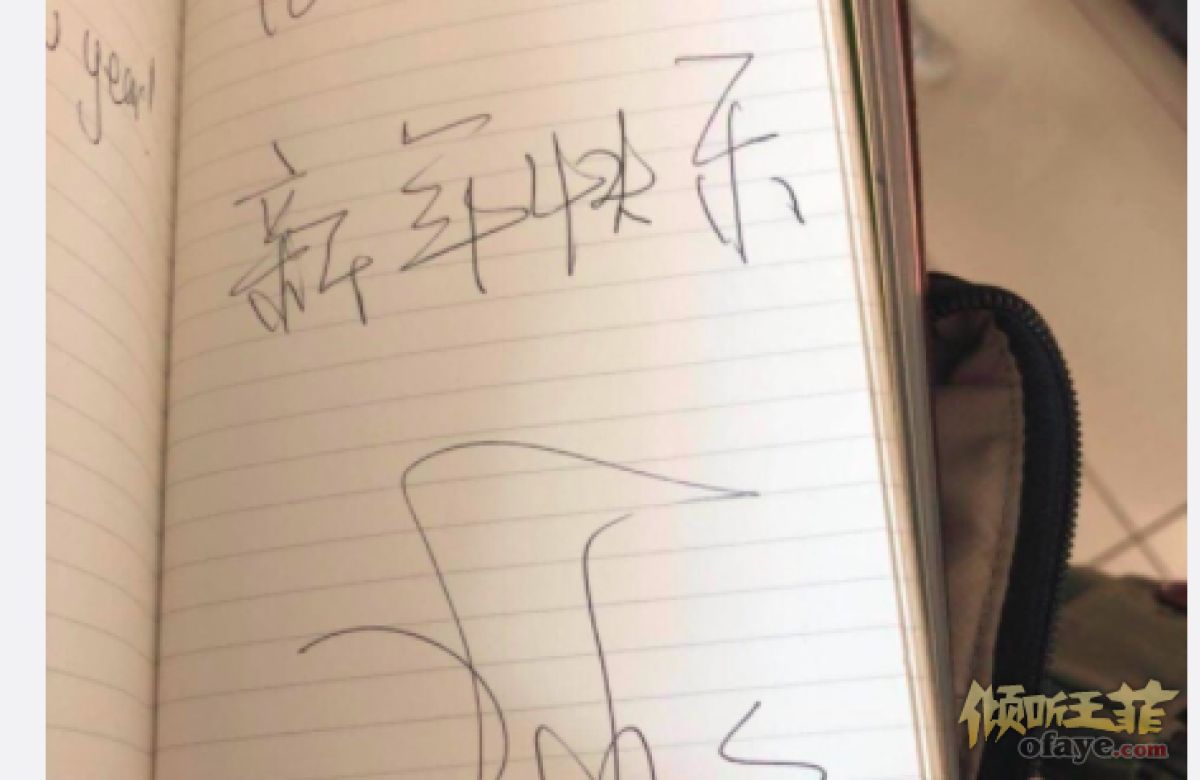 组图：王菲赴云南疑似陪李嫣过年天后飞机上亲切签名