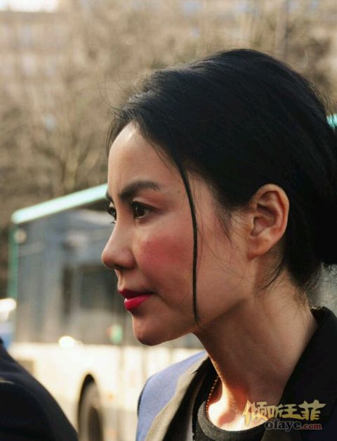 王菲2014巴黎时装周 微博高清原图