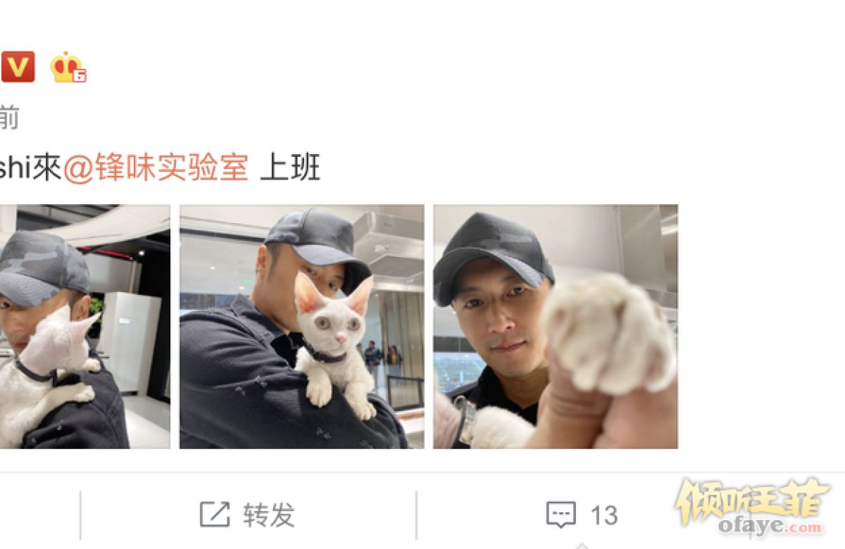 组图：谢霆锋化身猫奴抱爱宠dashi上班戴鸭舌帽五官硬朗超帅气