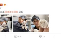 组图：谢霆锋化身猫奴抱爱宠dashi上班戴鸭舌帽五官硬朗超帅气