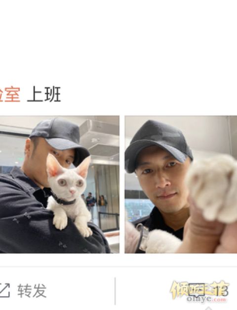 组图：谢霆锋化身猫奴抱爱宠dashi上班戴鸭舌帽五官硬朗超帅气