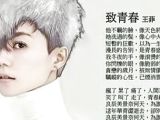 王菲新歌《致青春》