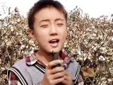 山东农村1１岁童版王菲好声音惊现棉花地