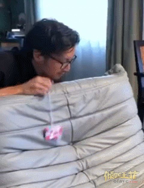组图：谢霆锋分享宅家撸猫视频家中布置温馨有爱