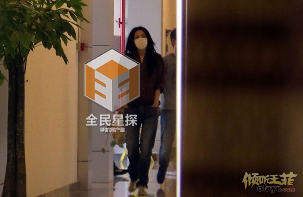 王菲戴口罩做美容 谢霆锋回京直奔女友寓所(图)