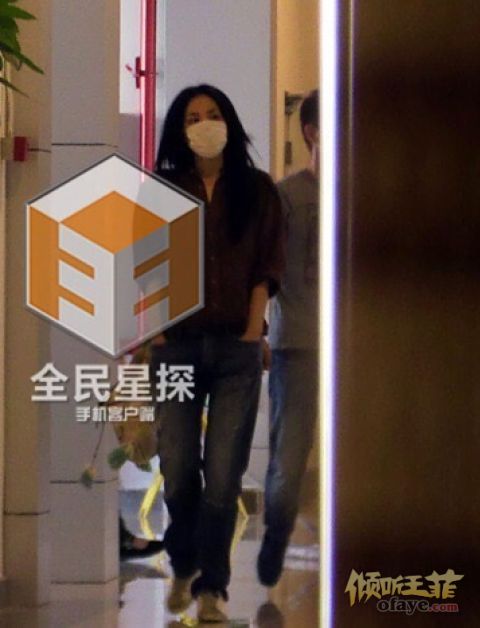 王菲戴口罩做美容 谢霆锋回京直奔女友寓所(图)
