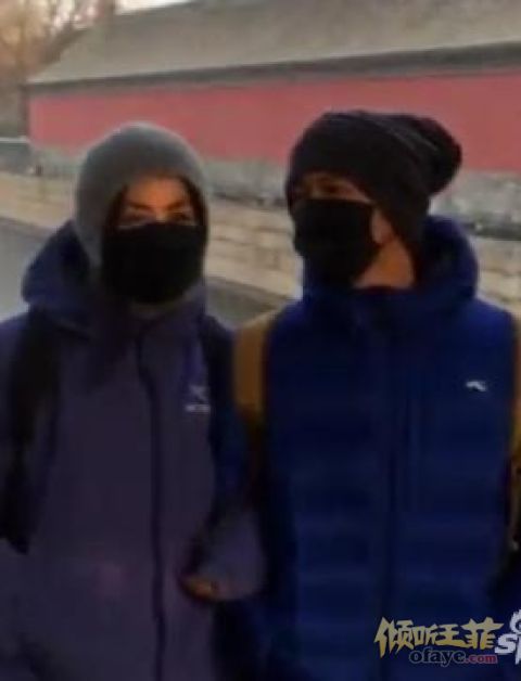 组图：疑似谢霆锋王菲同游故宫照片曝光两人挽手很有爱