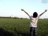 [鱼小鹿]王菲春晚最大遗珠作品--风吹麦浪【春晚与传奇同为备选作品】
