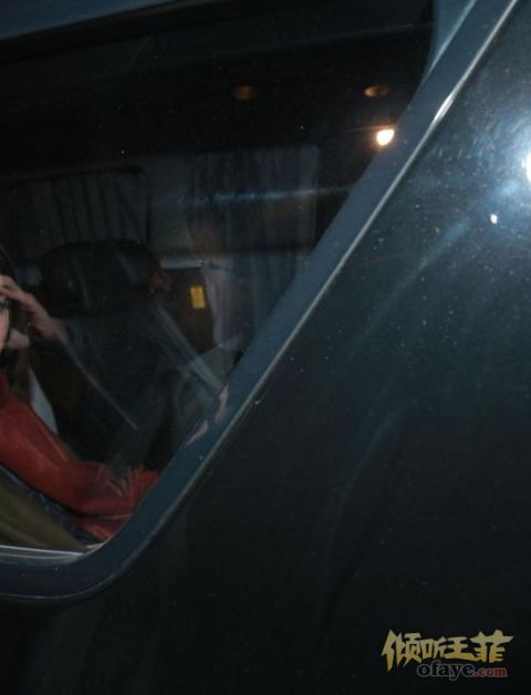 刘嘉玲生日王菲先离席 全程沉默不谈霆锋