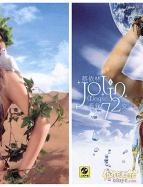 王菲 & Bjork