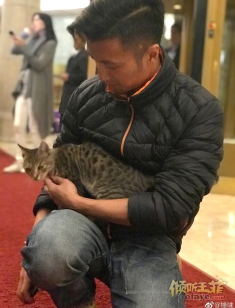 组图：谢霆锋酒店门口蹲地撸猫笑容超暖眼神温柔很有爱