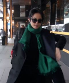 王菲香港追爱媒体紧盯 独自外出大方任拍