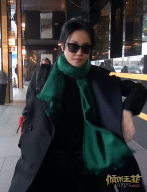 王菲香港追爱媒体紧盯 独自外出大方任拍