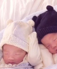 王菲穿红衣喜庆