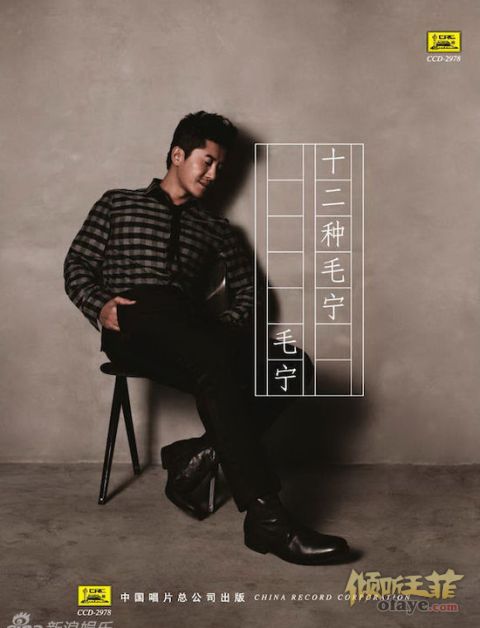 2008年，王菲春晚演唱《传奇》