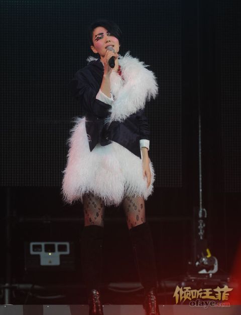 王菲香港演唱会开场 刘嘉玲李亚鹏现身支持