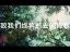 王菲-致青春MV(超清HD完整版) 超清