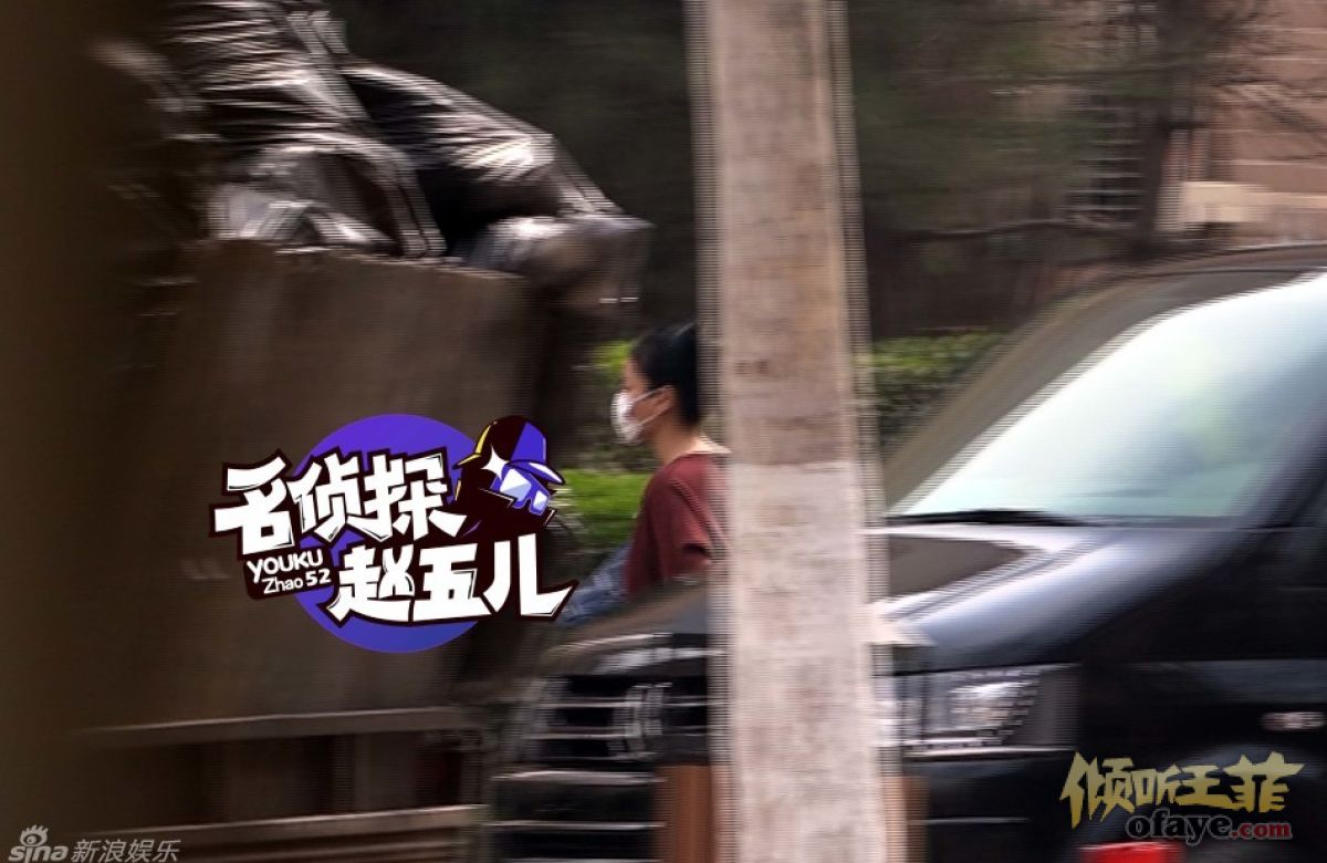 王菲谢霆锋罕见虐狗！牵手夜跑变连体婴
