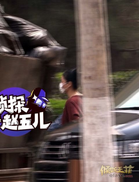 王菲谢霆锋罕见虐狗！牵手夜跑变连体婴
