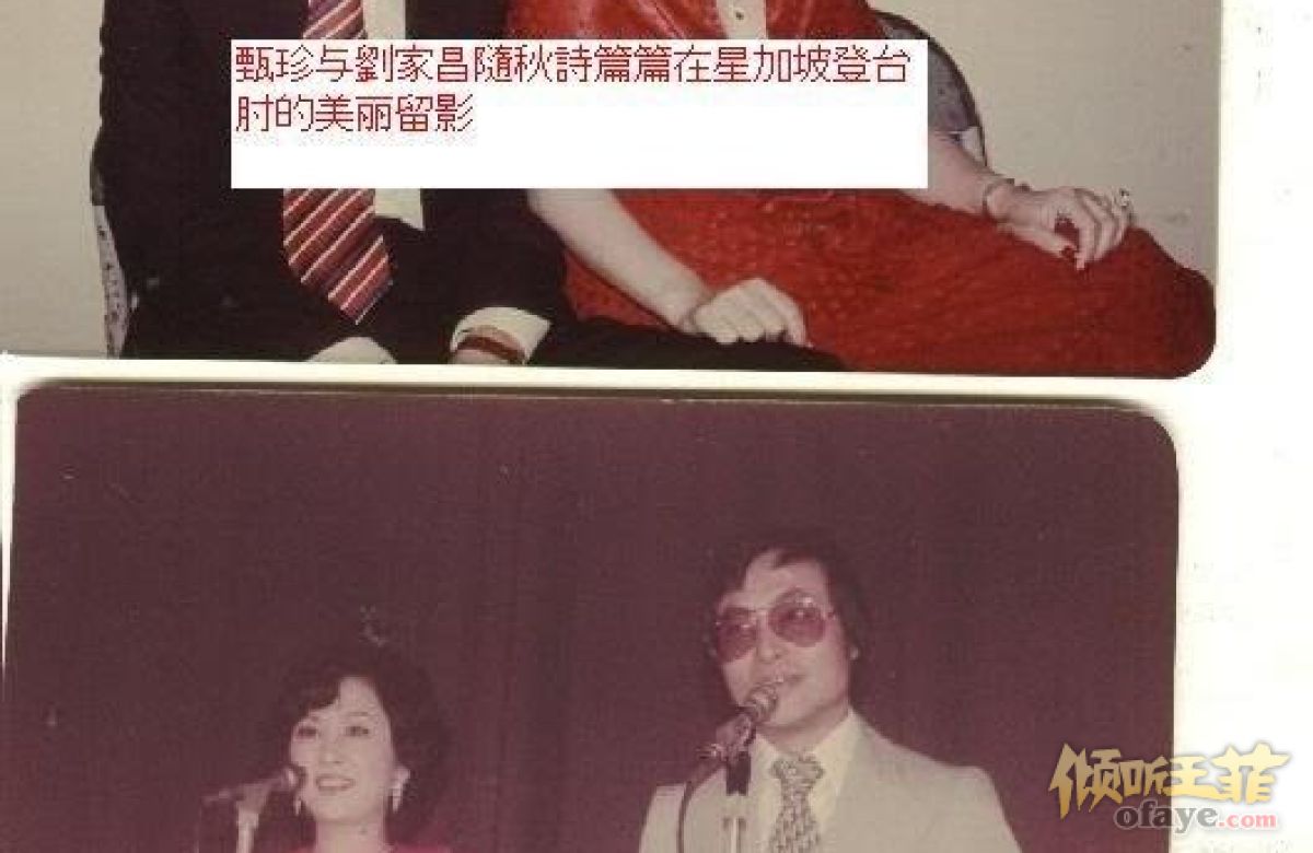 谢霆锋王菲复合