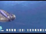 寒武纪宣传片