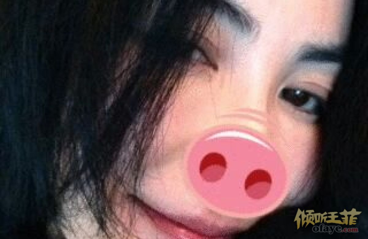 【贴吧】那几张笑尿偶的二货照