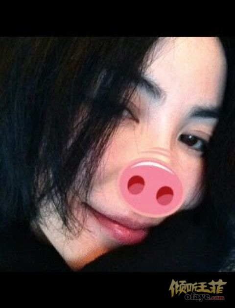 【贴吧】那几张笑尿偶的二货照