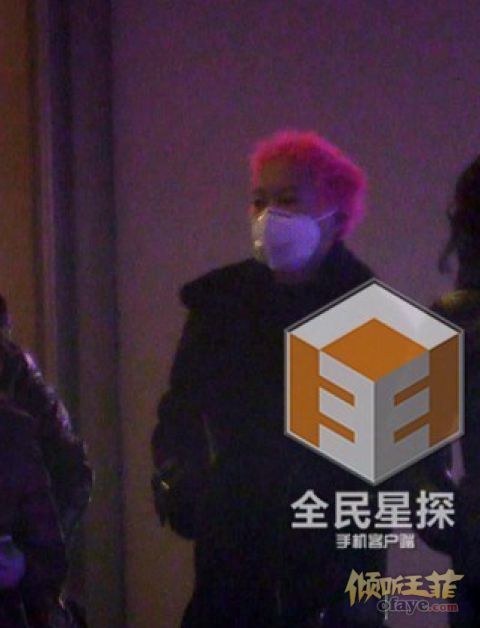 前往母亲王菲的别墅