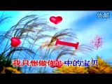在你的肩上默默流泪【演唱：梅花雪】