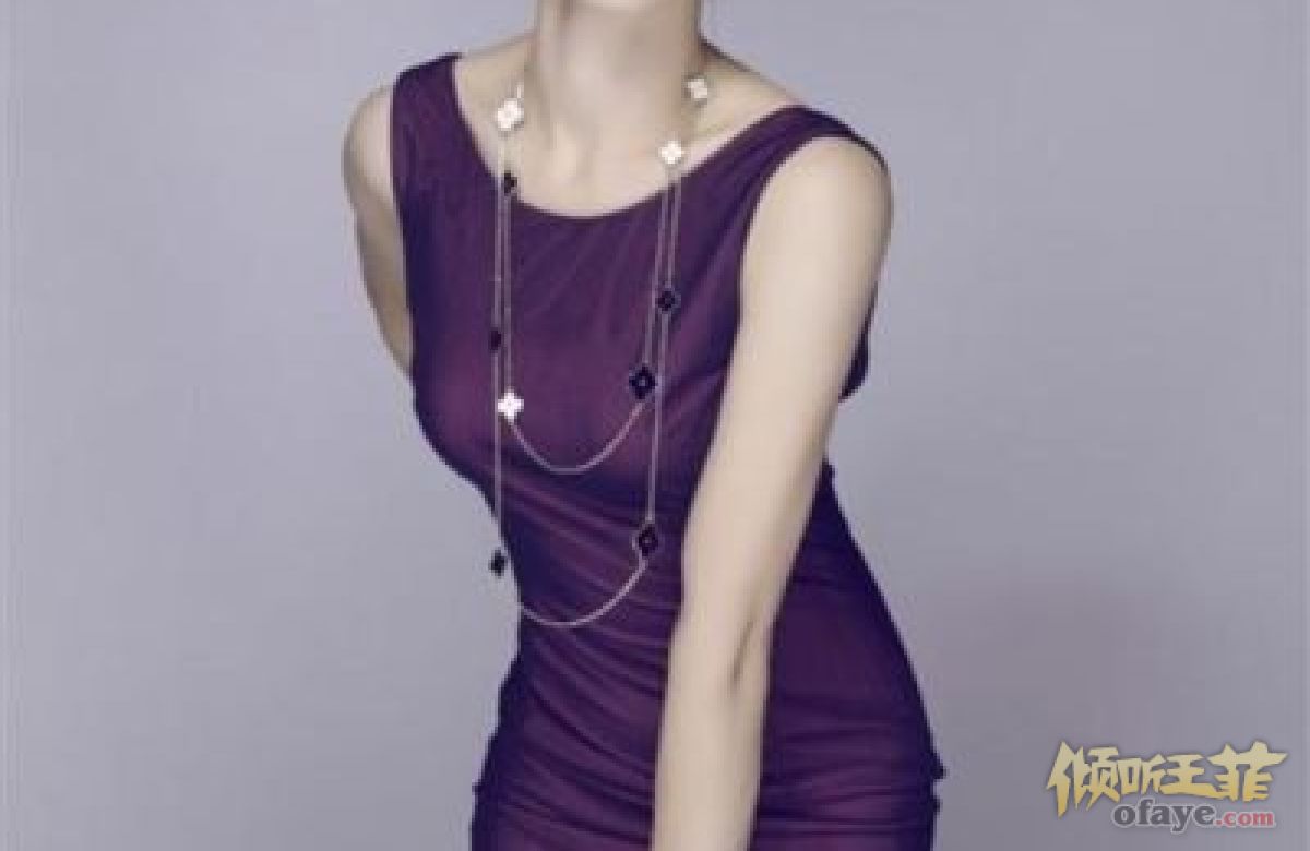 公安部主持人王菲承认与多位高官有染