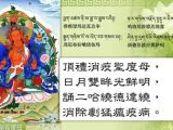 二十一度母贊Tara(女)_喇榮五明HD