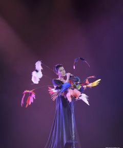 王菲演唱会众星捧场 带众人为灾民祈福