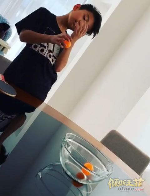 组图：张柏芝陪儿子玩乒乓球小Q屡投不中皱眉撇嘴表情超像谢霆锋