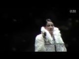翠湖寒红豆 王菲2012巡唱郑州站 2012年6月9日