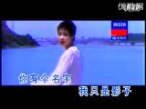 影子王菲