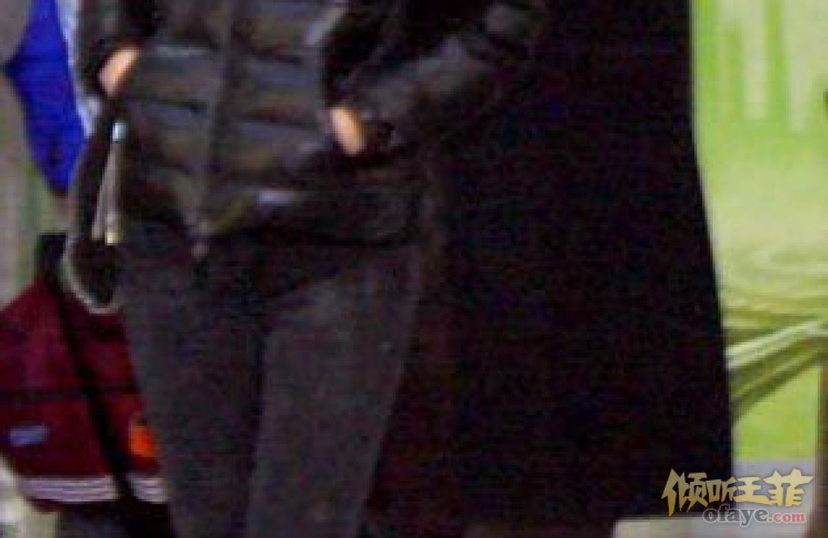 王菲现身上海机场 羽绒服皮靴保暖又摩登