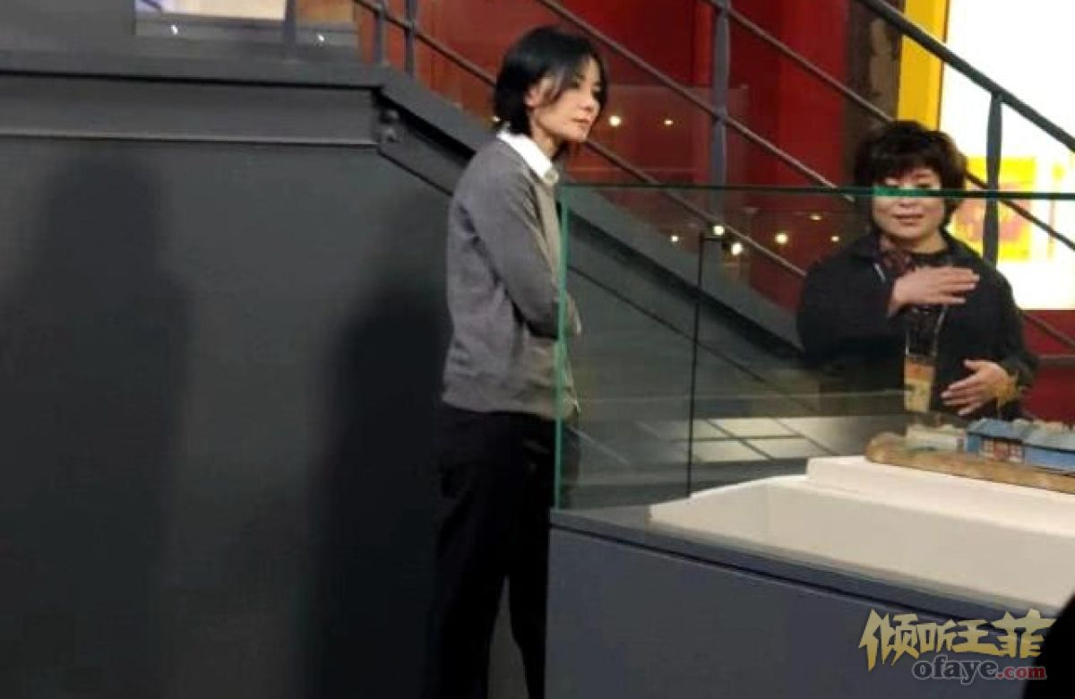 组图：王菲现身录制《国家宝藏2》穿灰色长大衣走路带风