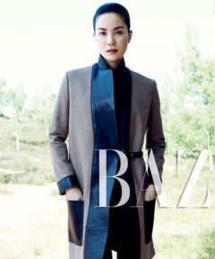 王菲登芭莎杂志 解读天后之谜